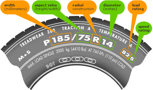 How to find my tire size